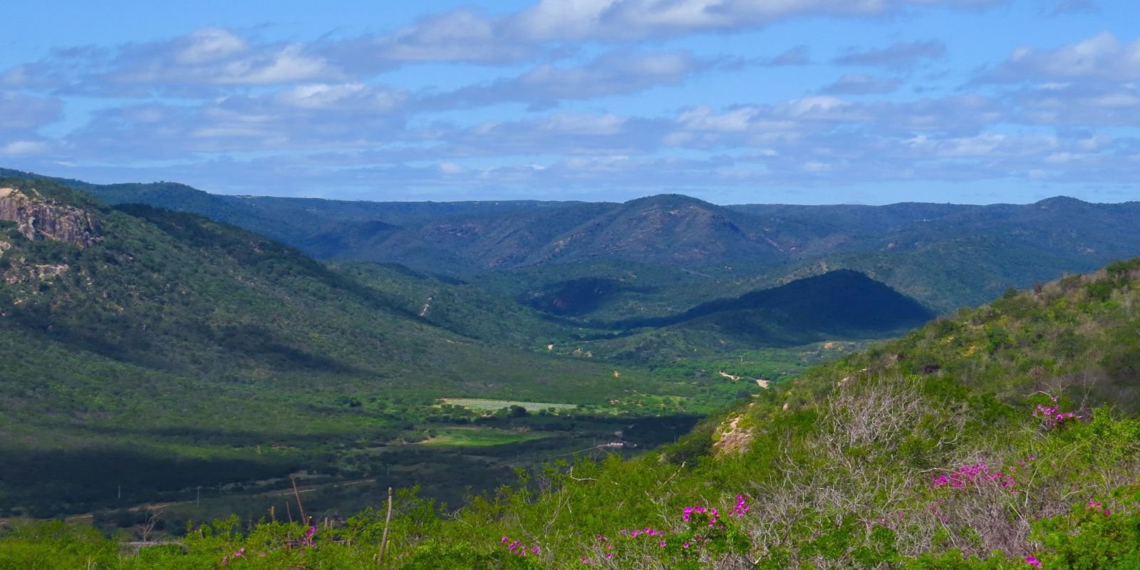 rio-grande-do-norte-cria-nova-unidade-de-conservacao-da-caatinga