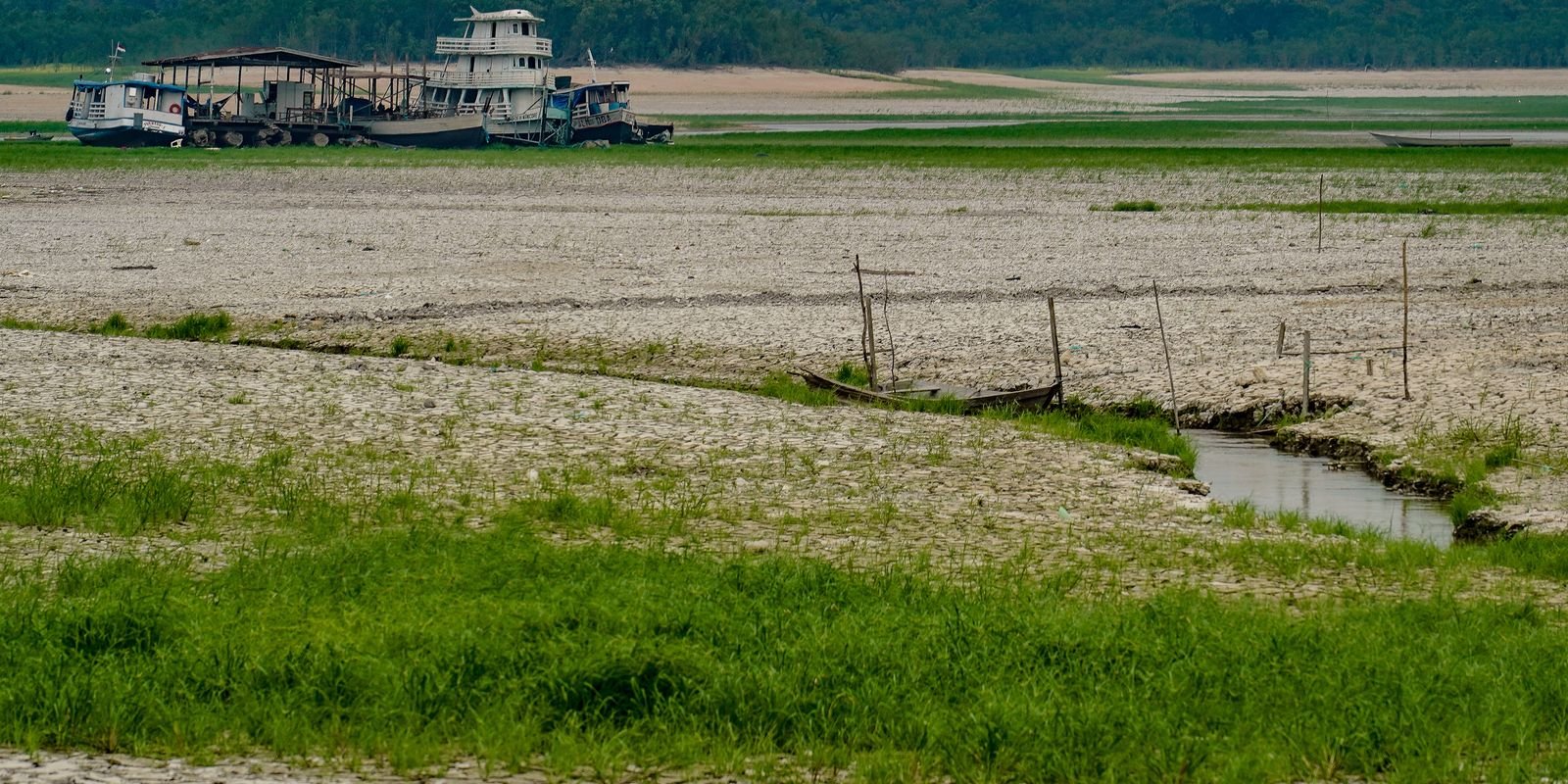 amazonia-apresenta-sinais-de-adaptacao-as-mudancas-climaticas