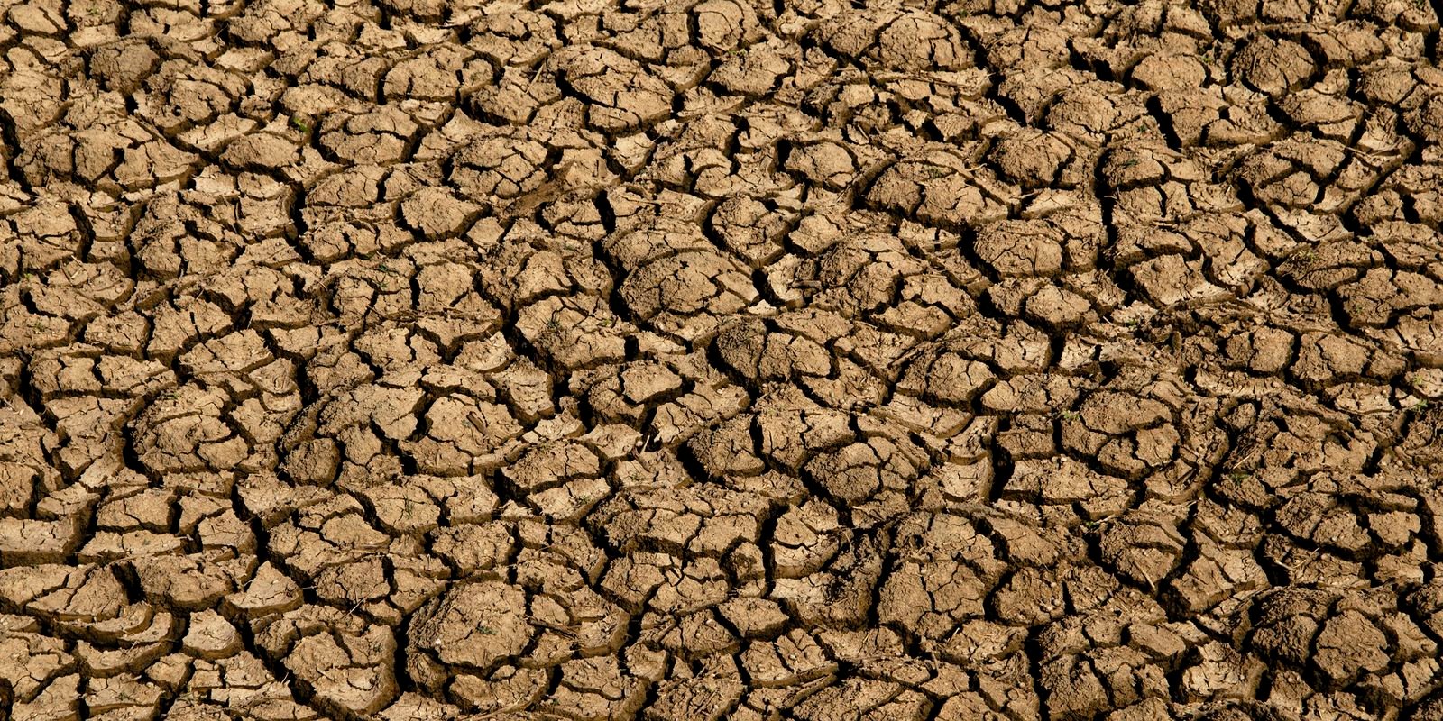el nino:-entenda-o-fenomeno-que-intensifica-os-fenomenos-climaticos