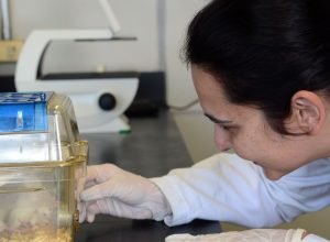 tecidos-feitos-em-laboratorio-podem-aperfeicoar-testes-de-medicamentos