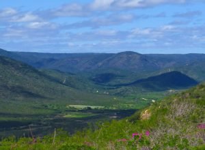 rio-grande-do-norte-cria-nova-unidade-de-conservacao-da-caatinga