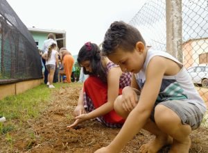 natureza-e-saberes-tradicionais-guiam-projeto-premiado-em-escola-rural