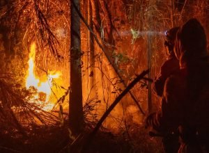 brasil-tem-queda-de-14%-na-quantidade-de-focos-de-queimadas-em-junho